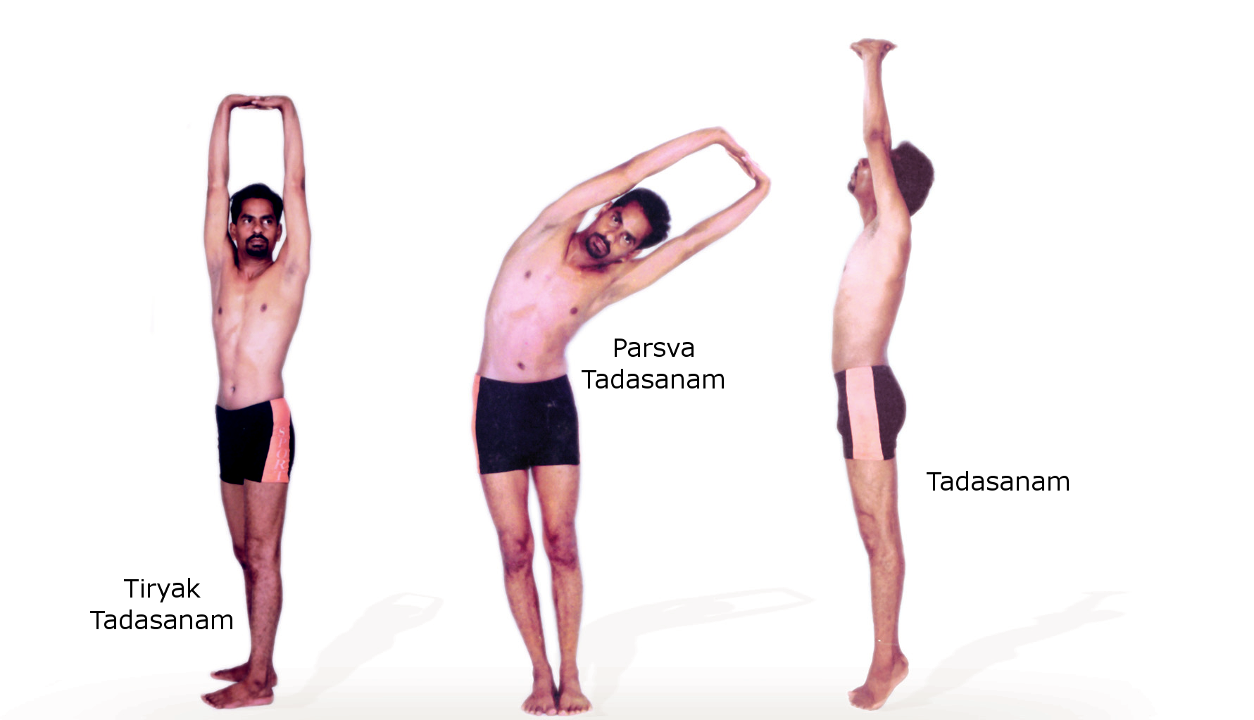 How to perform Talasana? - The Yoga Institute