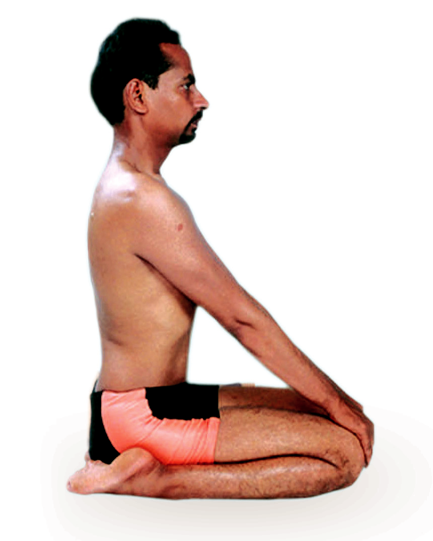 Vajrasana – Thunderbolt Pose - School of Yoga